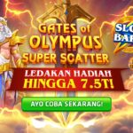 WhatsApp Image 2025-05-27 at 20.18.57