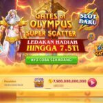 WhatsApp Image 2025-05-29 at 22.17.39